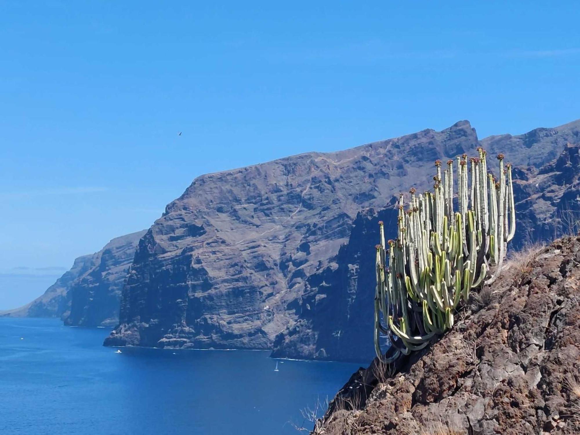 Appartamento Con 1 Camera Da Letto Con Vista Ov223 Costa Adeje  Kültér fotó