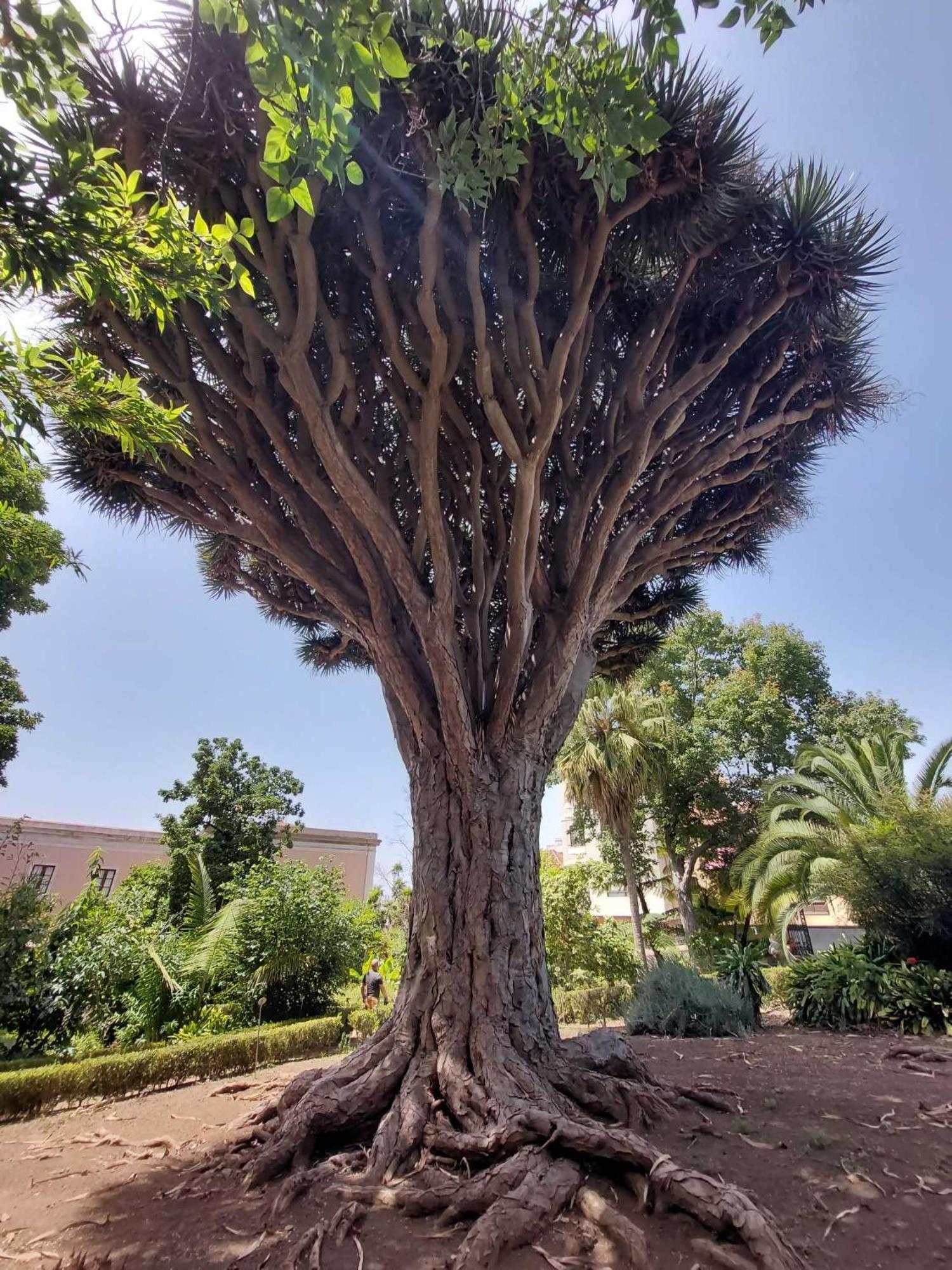 Appartamento Con 1 Camera Da Letto Con Vista Ov223 Costa Adeje  Kültér fotó